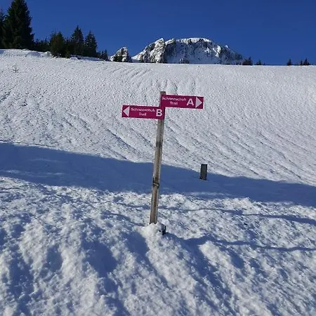 Schonhalden 호텔 3*