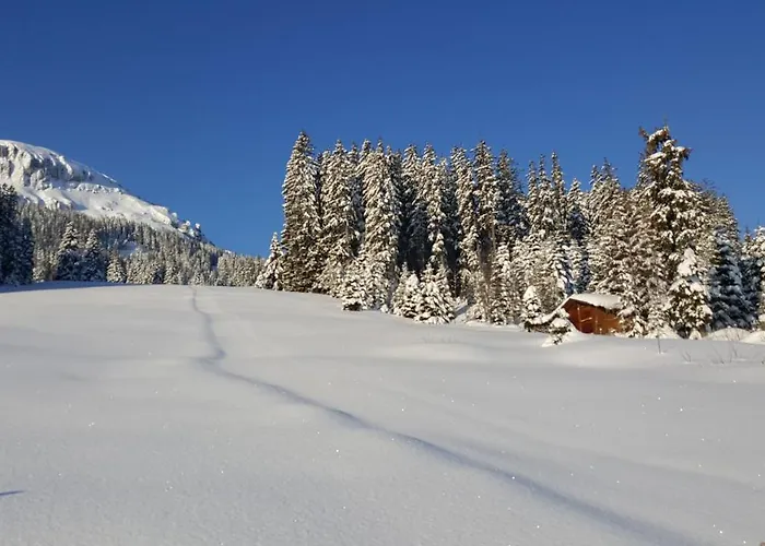 Schonhalden Hotel Flums